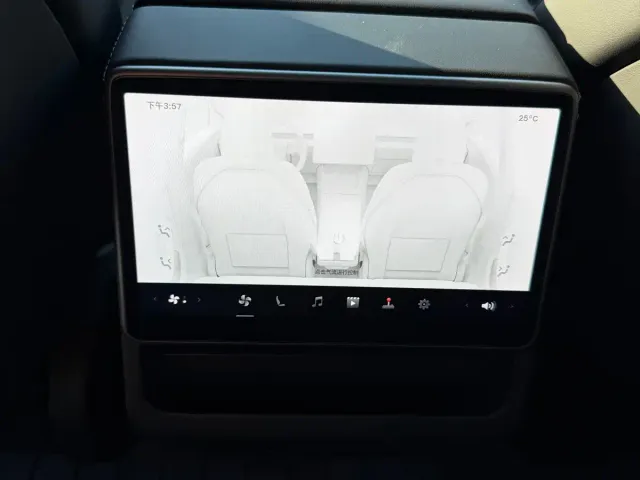 Tesla Model 3 — Фото автомобиля 12