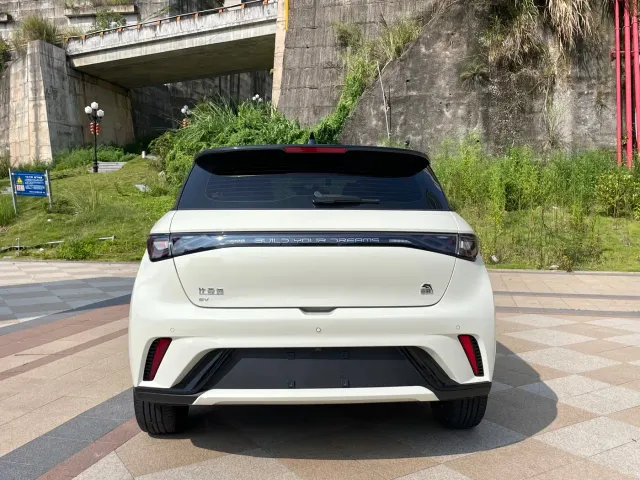 BYD Dolphin 2023 420km Freedom Edition — Фото автомобиля 8