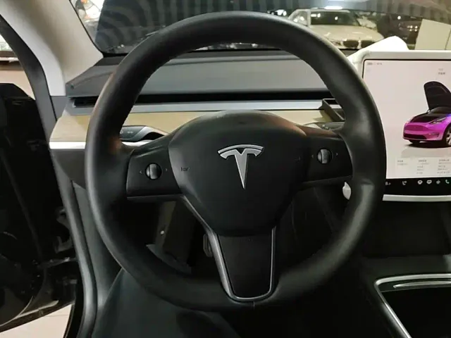 Tesla Model Y — Фото автомобиля 10