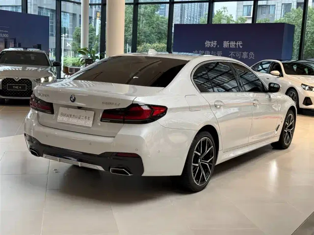 BMW 5 Series — Фото автомобиля 13