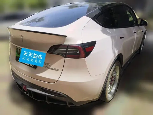 Tesla Model Y — Фото автомобиля 2
