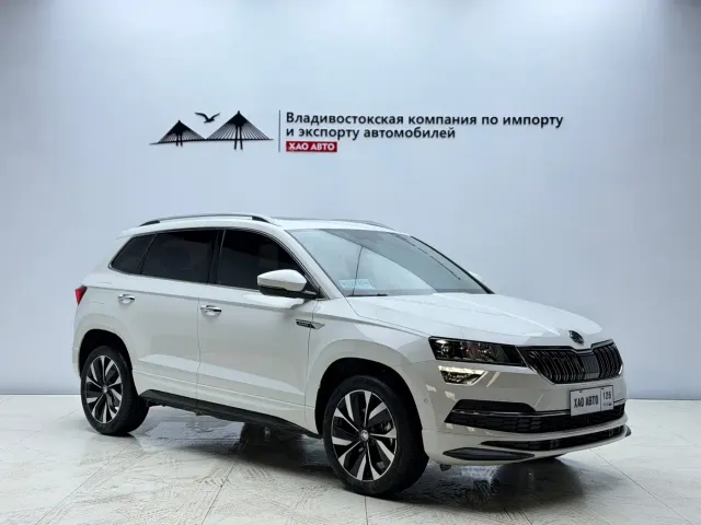 Skoda Karoq — Фото автомобиля 3