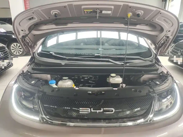 BYD Dolphin — Фото автомобиля 19