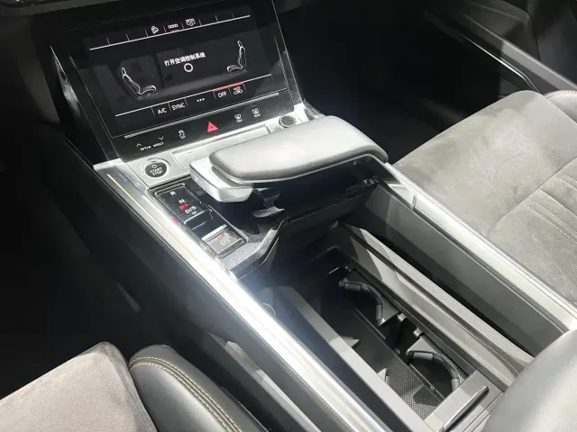 Audi e-tron — Фото автомобиля 15