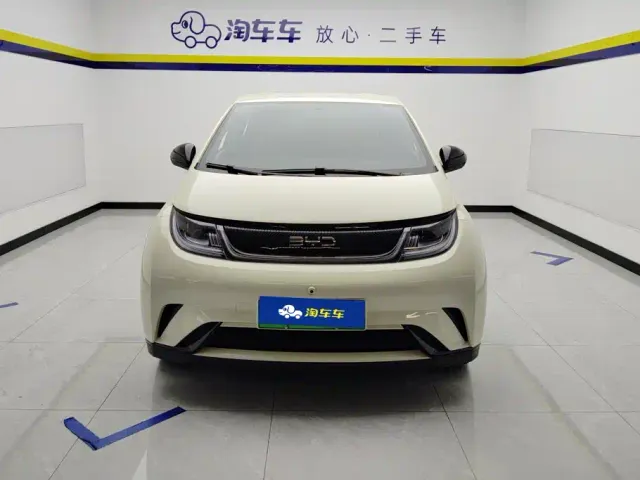 BYD Dolphin — Фото автомобиля 2