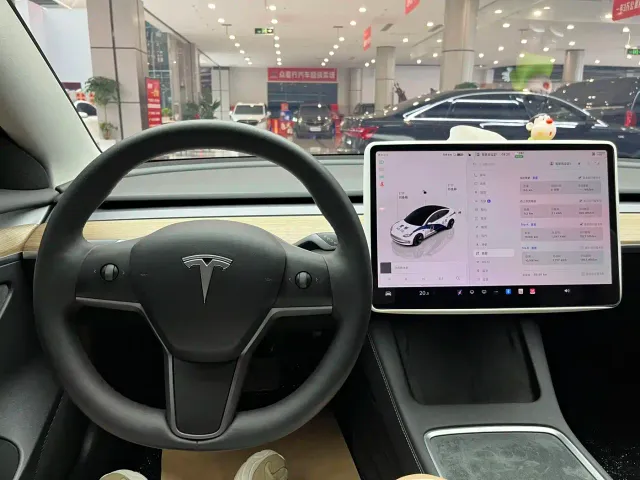 Tesla Model 3 — Фото автомобиля 19
