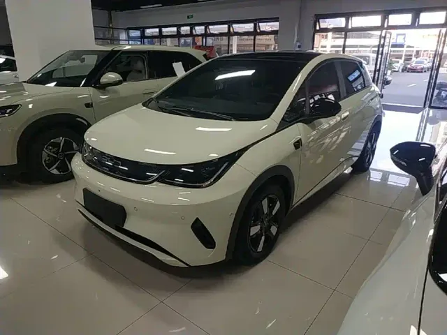 Фотография автомобиля — BYD Dolphin