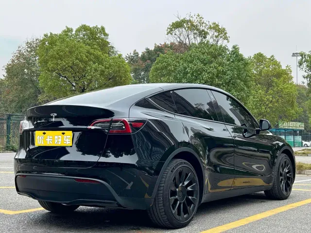 Tesla Model Y — Фото автомобиля 6