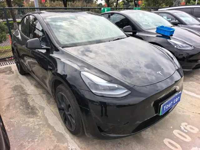 Tesla Model Y — Фото автомобиля 3