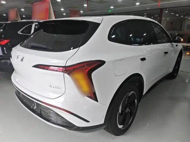 Hongqi Tiangong 06 — Фото автомобиля 6