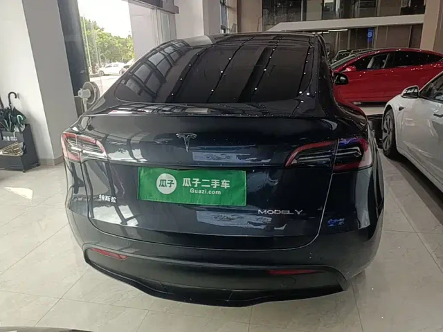 Tesla Model Y — Фото автомобиля 5