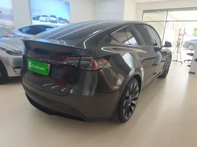 Tesla Model Y — Фото автомобиля 6