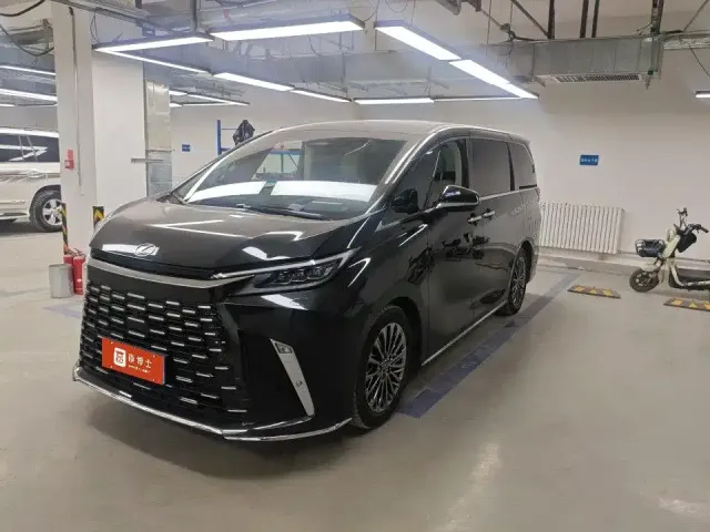 Фотография автомобиля — Lexus LM