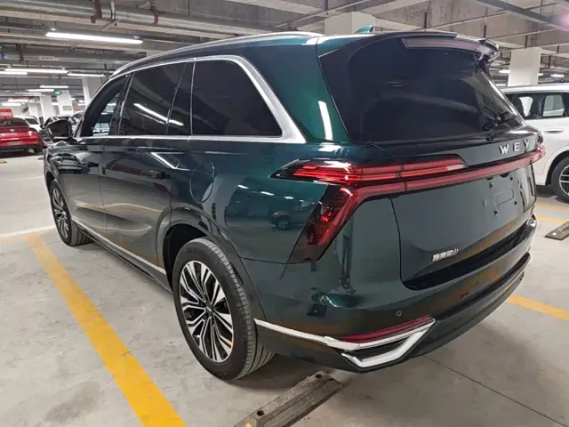 Wey Lanshan — Фото автомобиля 4