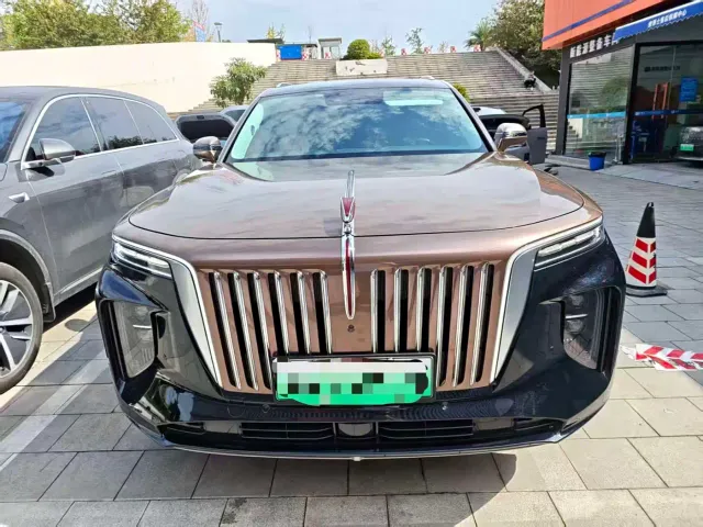 Hongqi E-HS9 — Фото автомобиля 2