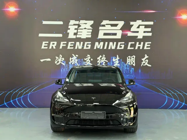 Tesla Model Y — Фото автомобиля 2