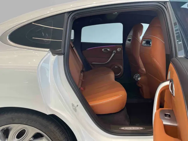 Ora Lightning Cat — Фото автомобиля 11