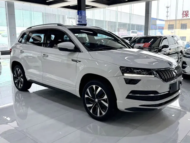 Skoda Karoq — Фото автомобиля 3