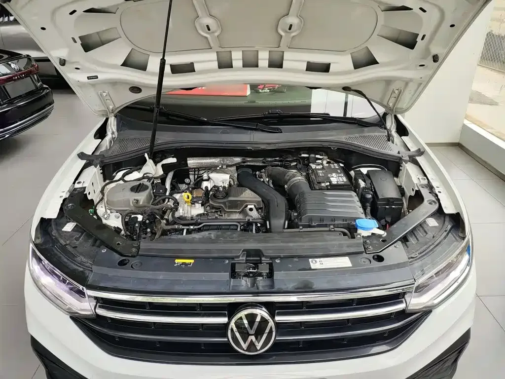 Volkswagen Tiguan L 2024 Outstanding 300TSI Auto 2WD Dragon Soaring Edition — Фото автомобиля 19