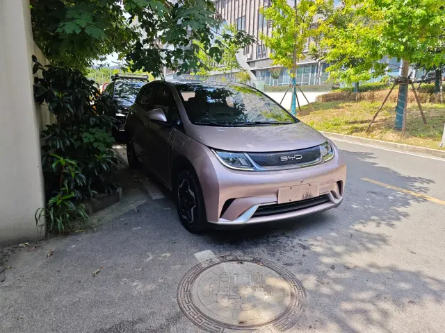 BYD Dolphin — Фото автомобиля 3