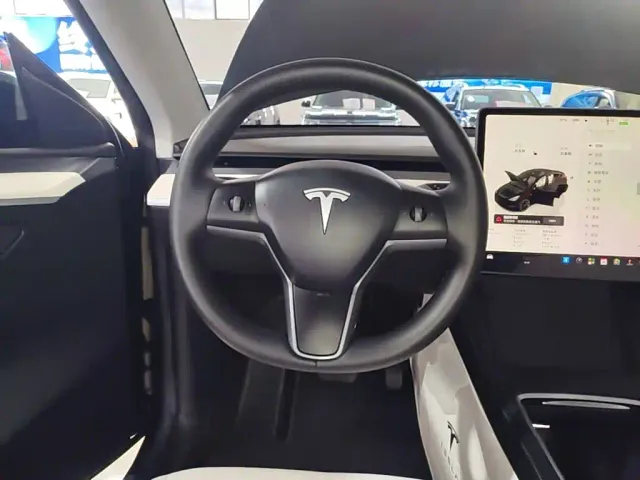 Tesla Model Y — Фото автомобиля 10