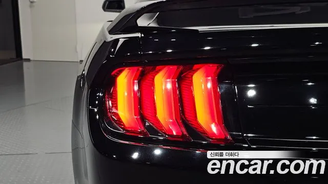 Ford Mustang — Фото автомобиля 23