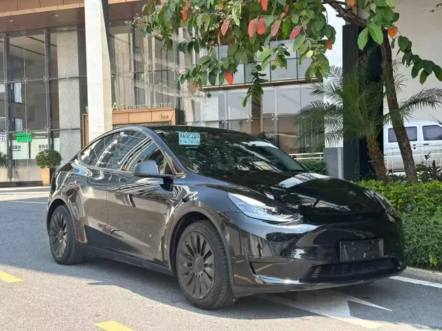 Tesla Model Y — Фото автомобиля 22