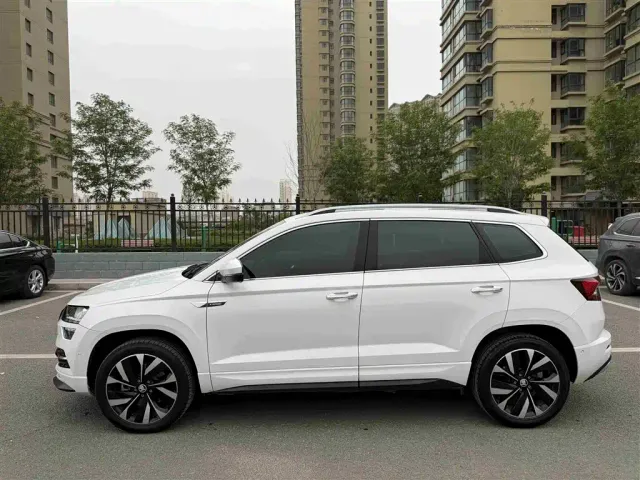 Skoda Karoq — Фото автомобиля 13