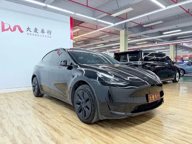 Tesla Model Y — Фото автомобиля 3