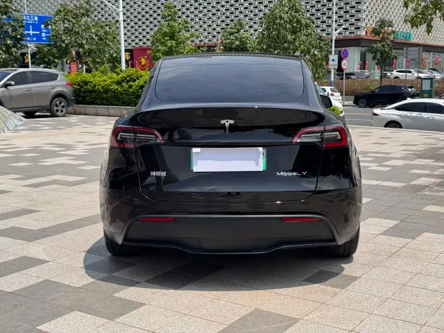 Tesla Model Y — Фото автомобиля 3