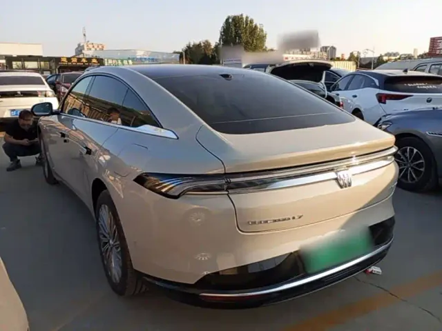 Buick Electra L7 — Фото автомобиля 4
