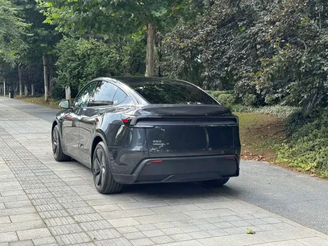 Tesla Model Y — Фото автомобиля 9