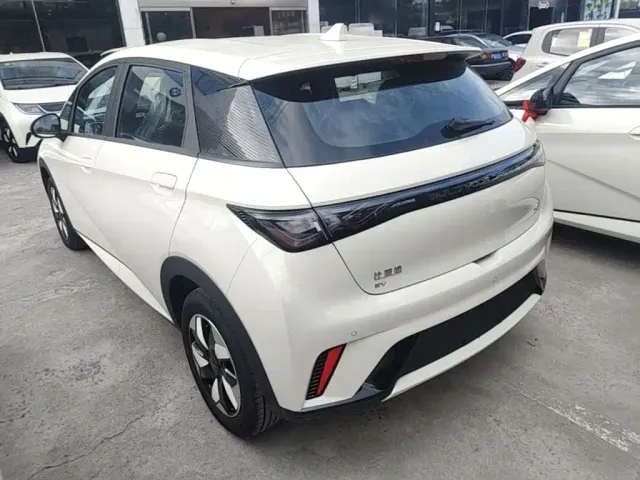 BYD Dolphin — Фото автомобиля 4