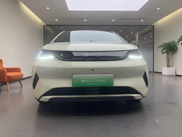 BYD Dolphin — Фото автомобиля 2