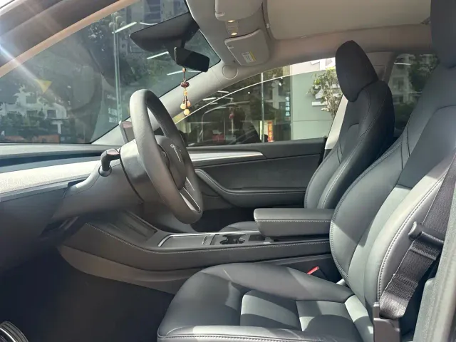 Tesla Model Y — Фото автомобиля 4