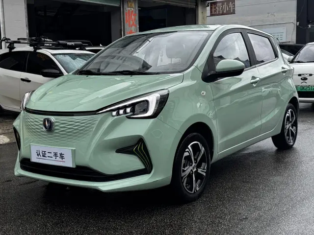Фотография автомобиля — Changan Benben E-Star