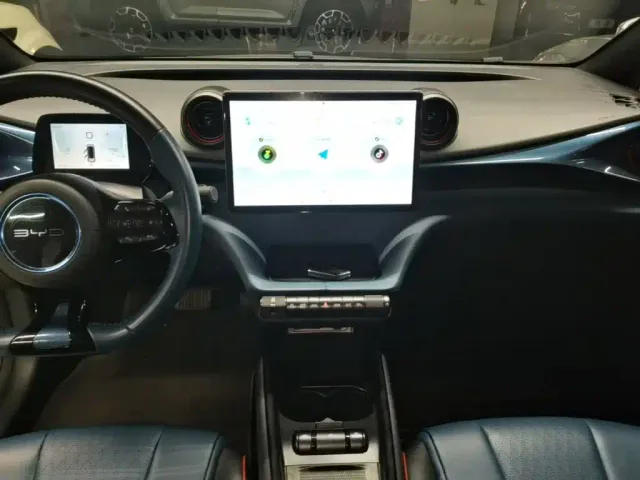 BYD Dolphin — Фото автомобиля 12
