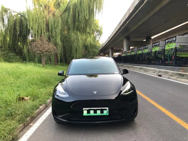 Tesla Model Y — Фото автомобиля 2