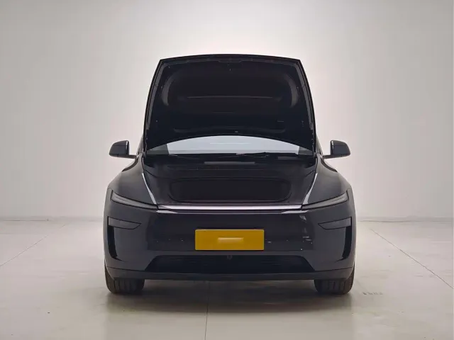 Tesla Model Y — Фото автомобиля 12