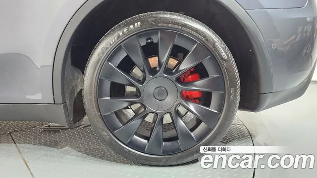 Tesla Model Y — Фото автомобиля 19