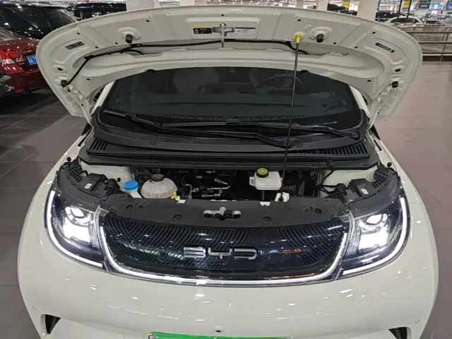 BYD Dolphin — Фото автомобиля 19