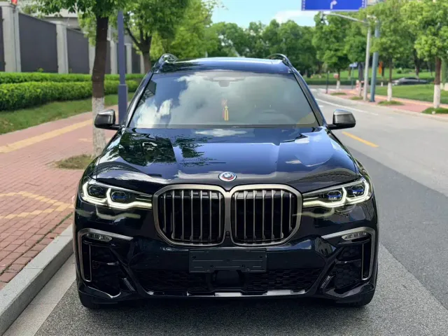 BMW X7 — Фото автомобиля 2