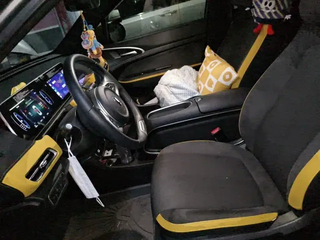 Ora Good Cat — Фото автомобиля 11