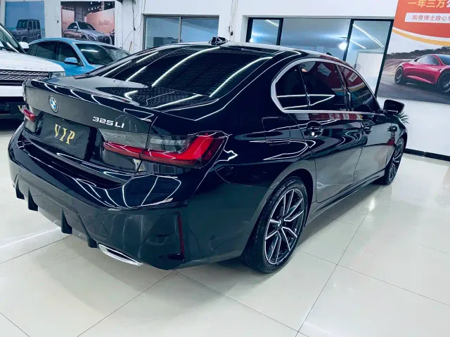 BMW 3 Series — Фото автомобиля 8
