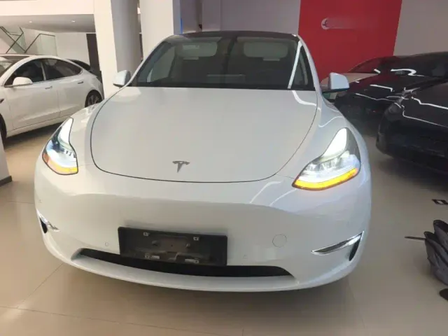 Tesla Model Y — Фото автомобиля 2