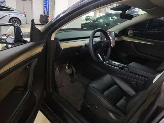 Tesla Model Y — Фото автомобиля 15