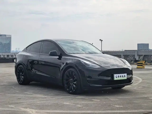 Tesla Model Y — Фото автомобиля 2