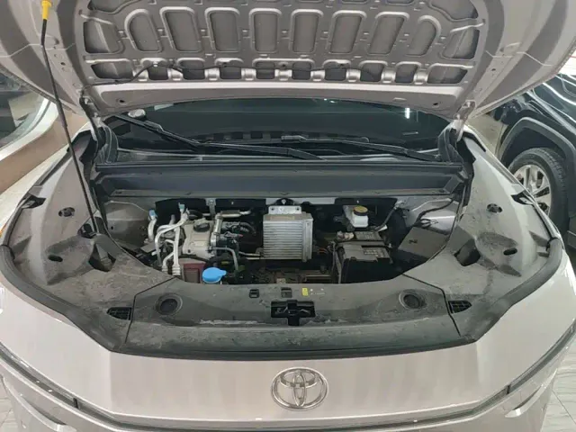 Toyota BoZhi 3X — Фото автомобиля 19