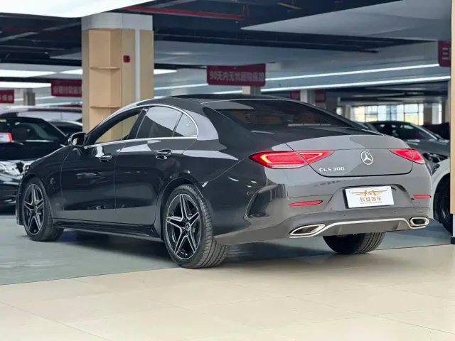 Mercedes-Benz CLS-Class — Фото автомобиля 3