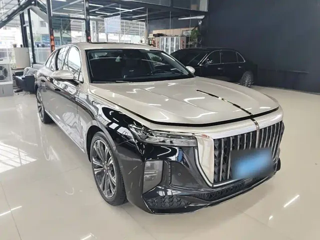 Hongqi H9 — Фото автомобиля 21